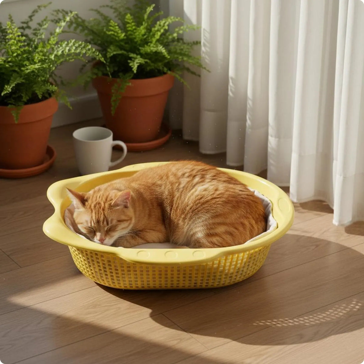 Pet Cat Bed Breathable Thickened Cat Basket with Mat Summer Cooling Indoor Pet Bedding Comfortable Soft Mat for Cats