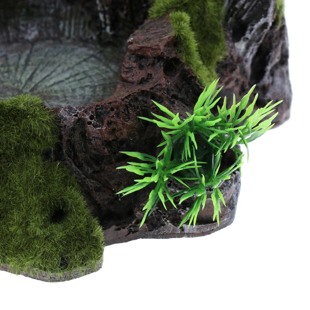 Pets Feeding Plate - Non- Reptile Bowl Resin Dish Suitable for Reptile Small Animals, Tortoise, , Frog, Gecko, Scorpion
