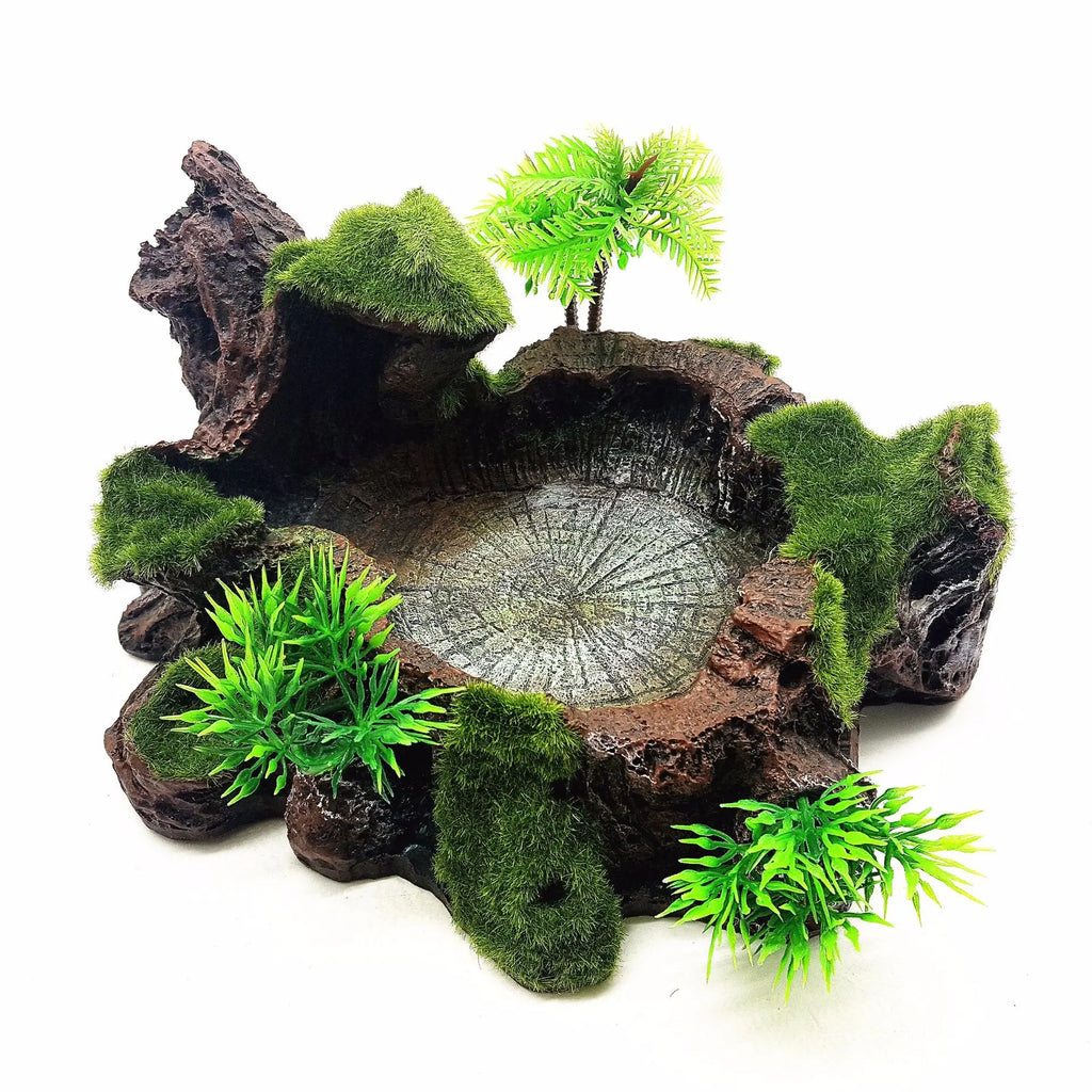 Pets Feeding Plate - Non- Reptile Bowl Resin Dish Suitable for Reptile Small Animals, Tortoise, , Frog, Gecko, Scorpion