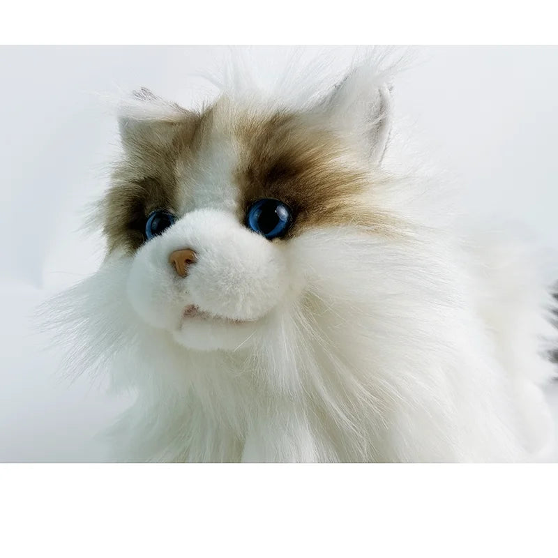 Wholesale Adorable Lifelike Ragdoll Cat Plush Stuffed Animal Toys for Kids and Cat Lovers As Gift
