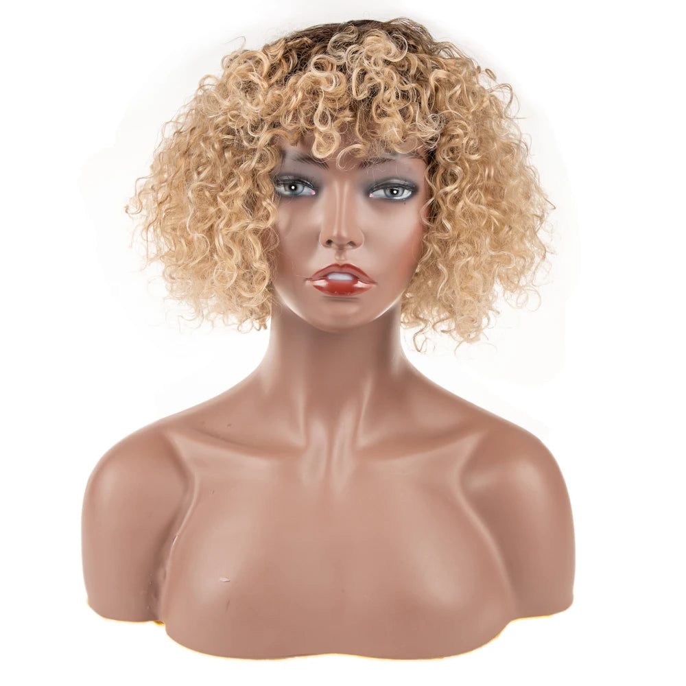 Afro Kinky Curly Wig Sleek Wholesale Factory Supplier High Temperature Heat Resistant Cosplay Kinky Curl Synthetic Hair Wigs
