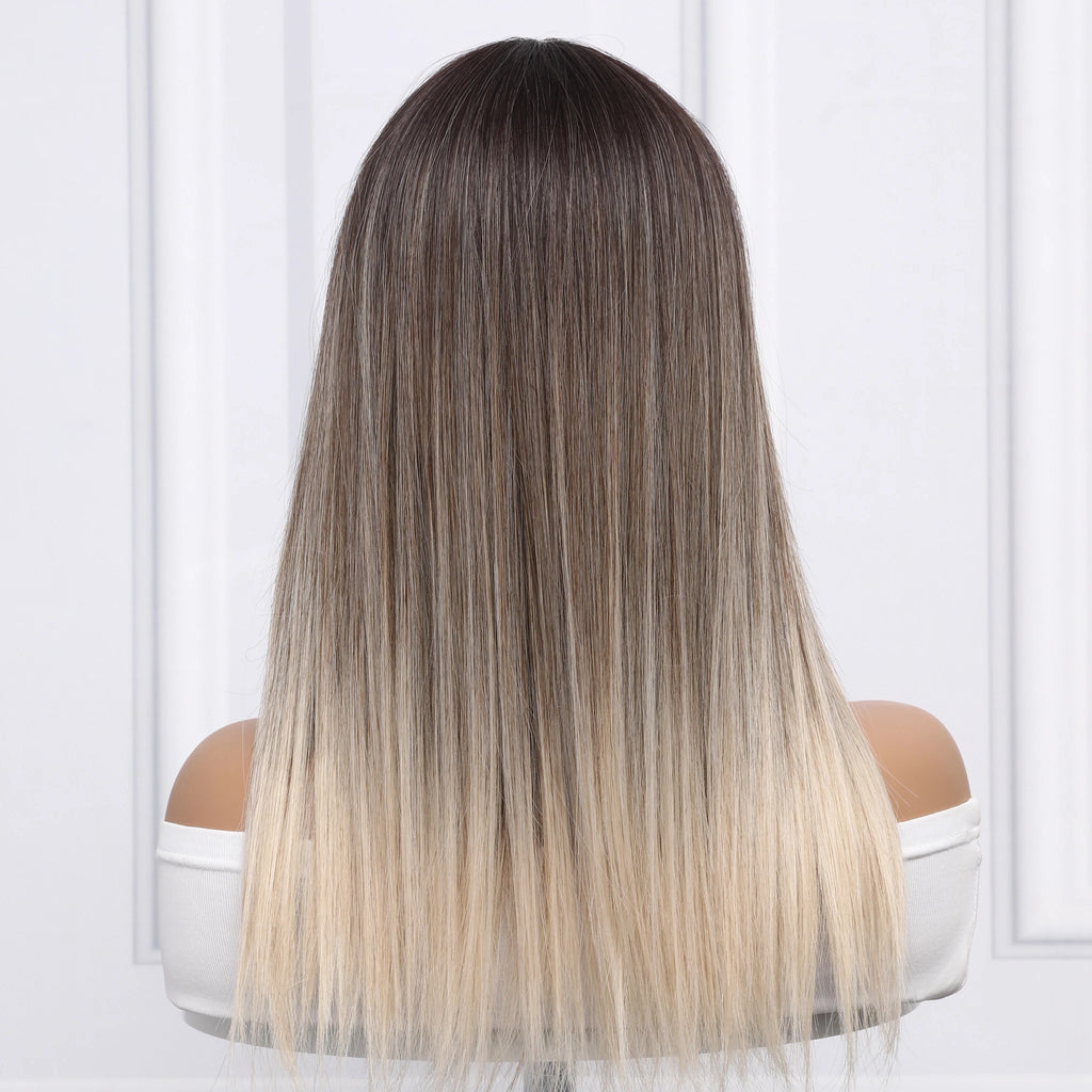 2026 SMILCO European and American Fashion Wigs Women Gray Gradient Straight Hair Wigs Synthetic Lace Front Brown Wig SM360