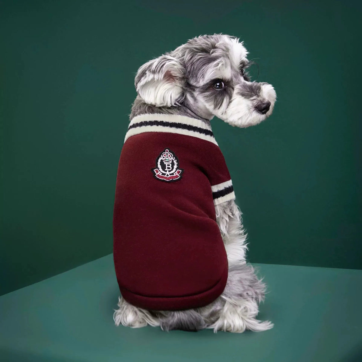 Pet Clothing Custom Dog Winter Warm Clothing Preppy Style Pet Vest Matching Color Cat Sweater