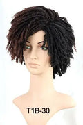 Factory Price Dreadlock Wigs for Black Women Short Natural Twist Curl Faux Crochet Hair Braids Ombre Color Dread Locs Wig