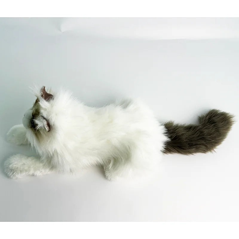 Wholesale Adorable Lifelike Ragdoll Cat Plush Stuffed Animal Toys for Kids and Cat Lovers As Gift