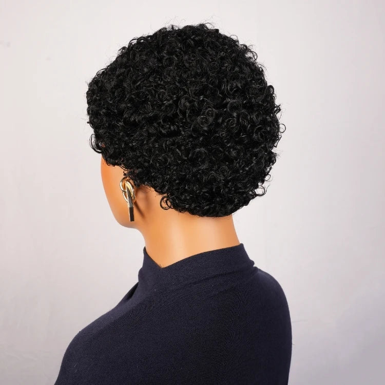 Cheap Full Machine Made Wig 100% Brazilian Human Hair Pixie Cut Wigs Short Kinky Curly Loose Curly Non Lace Wigs for Women