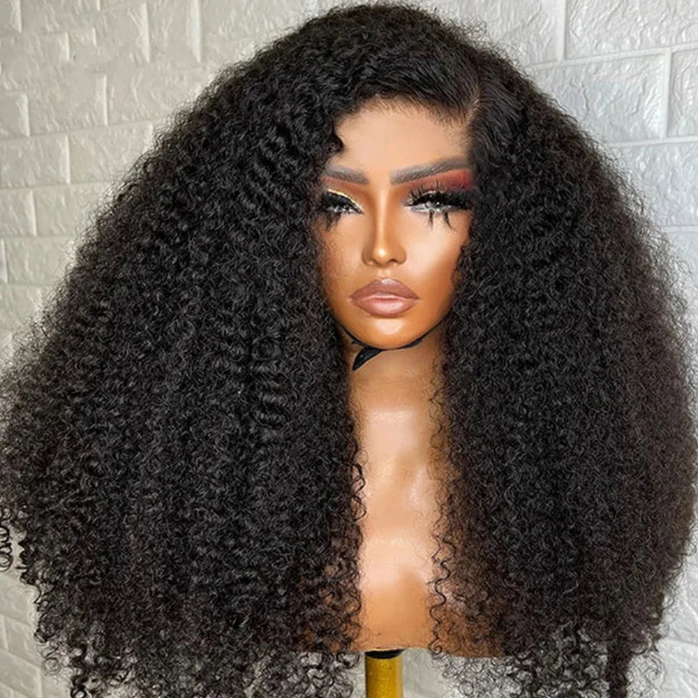 Hight Quality Kinky Curly Wave Short Bob Wig Human Hair Hd Full Lace Front Wig Vendor Raw Virgin Lace Frontal Wig