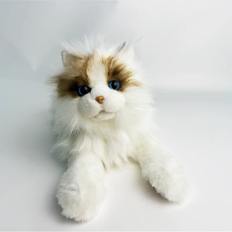 Wholesale Adorable Lifelike Ragdoll Cat Plush Stuffed Animal Toys for Kids and Cat Lovers As Gift