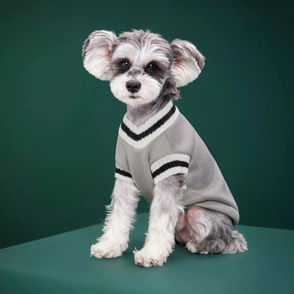 Pet Clothing Custom Dog Winter Warm Clothing Preppy Style Pet Vest Matching Color Cat Sweater