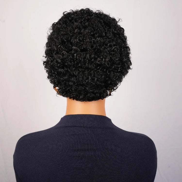 Cheap Full Machine Made Wig 100% Brazilian Human Hair Pixie Cut Wigs Short Kinky Curly Loose Curly Non Lace Wigs for Women
