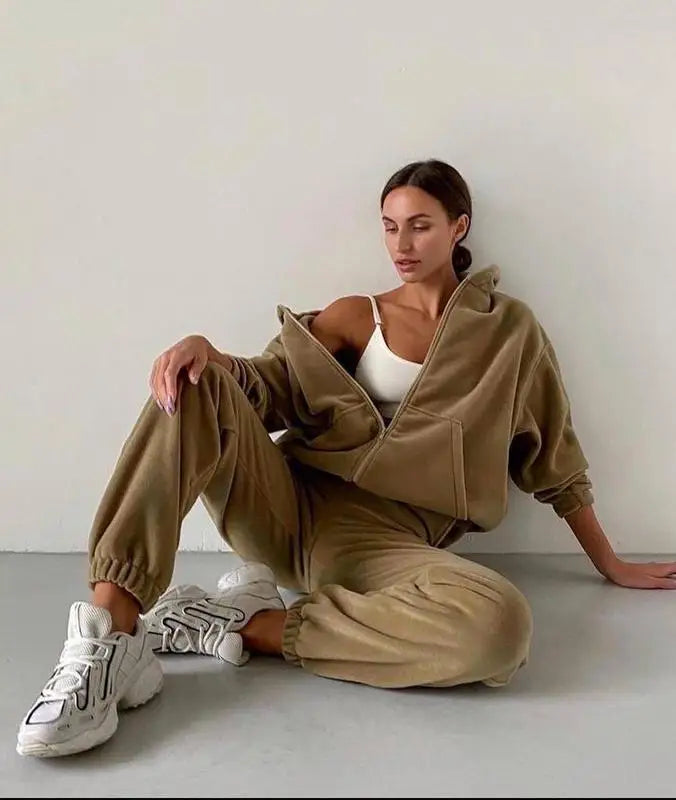 2025 Casual Women Fleece Hoodie Two Piece Sets Hooded Zipper Outerwear And Harem Pant Suit Winter Fashion Streetwear Tracksuit