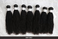 ELI Kinky Curly Raw Hair Bundle Wholesale 10A Mink Virgin Brazilian Hair Cuticle Aligned Raw Virgin Hair