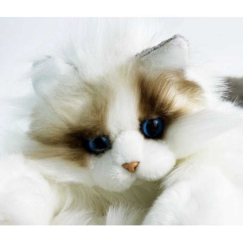 Wholesale Adorable Lifelike Ragdoll Cat Plush Stuffed Animal Toys for Kids and Cat Lovers As Gift