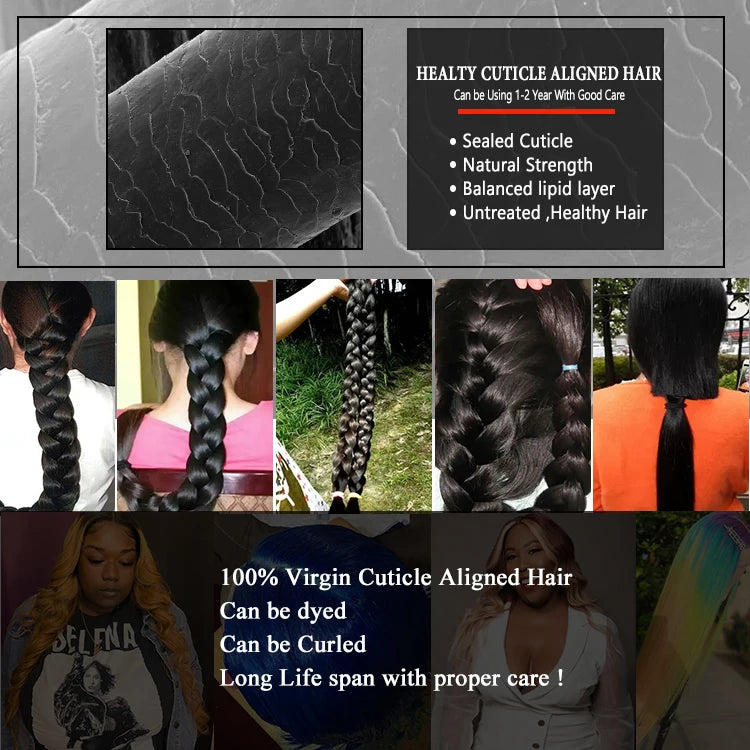 New Arrival Perruque bob Curly Wigs Human Hair Wholesale Brazilian Short Kinky Curly Bob Human Hair Curly Bob Wig