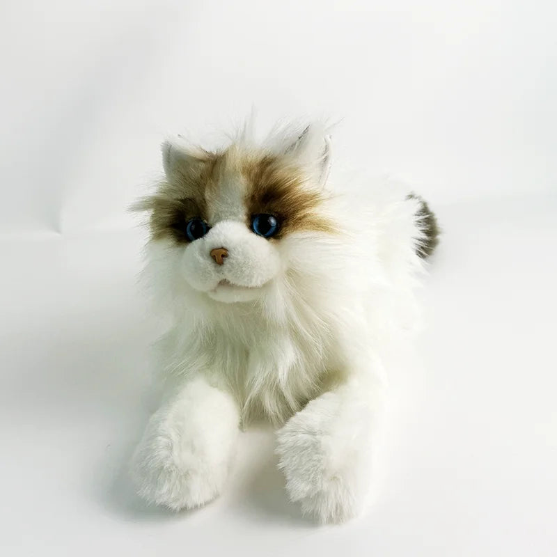 Wholesale Adorable Lifelike Ragdoll Cat Plush Stuffed Animal Toys for Kids and Cat Lovers As Gift