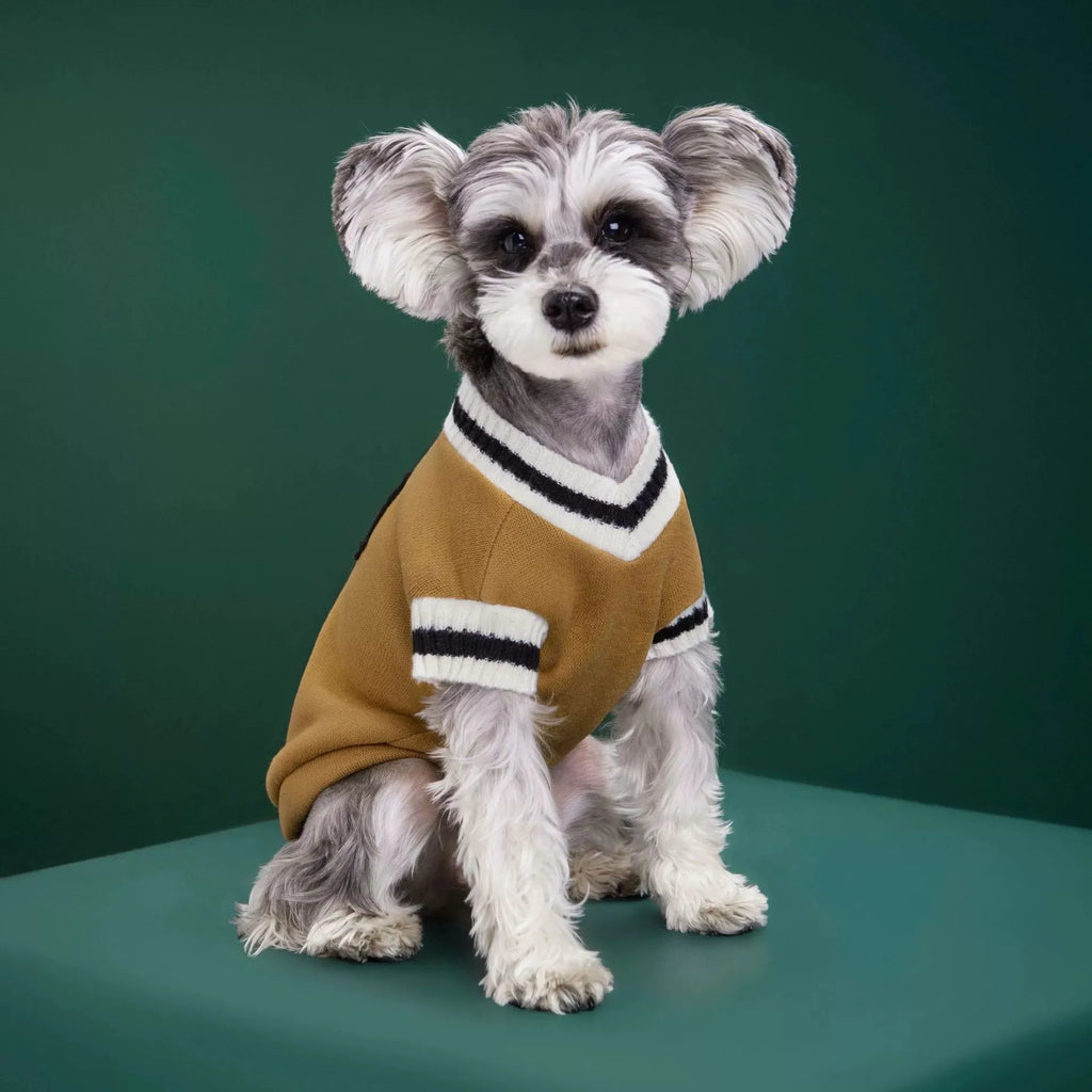 Pet Clothing Custom Dog Winter Warm Clothing Preppy Style Pet Vest Matching Color Cat Sweater