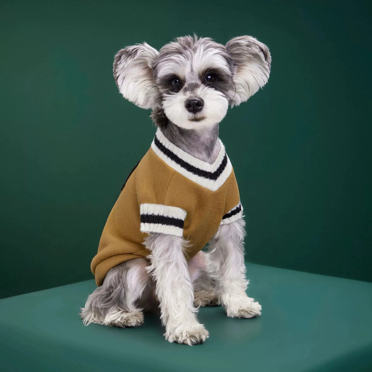 Pet Clothing Custom Dog Winter Warm Clothing Preppy Style Pet Vest Matching Color Cat Sweater