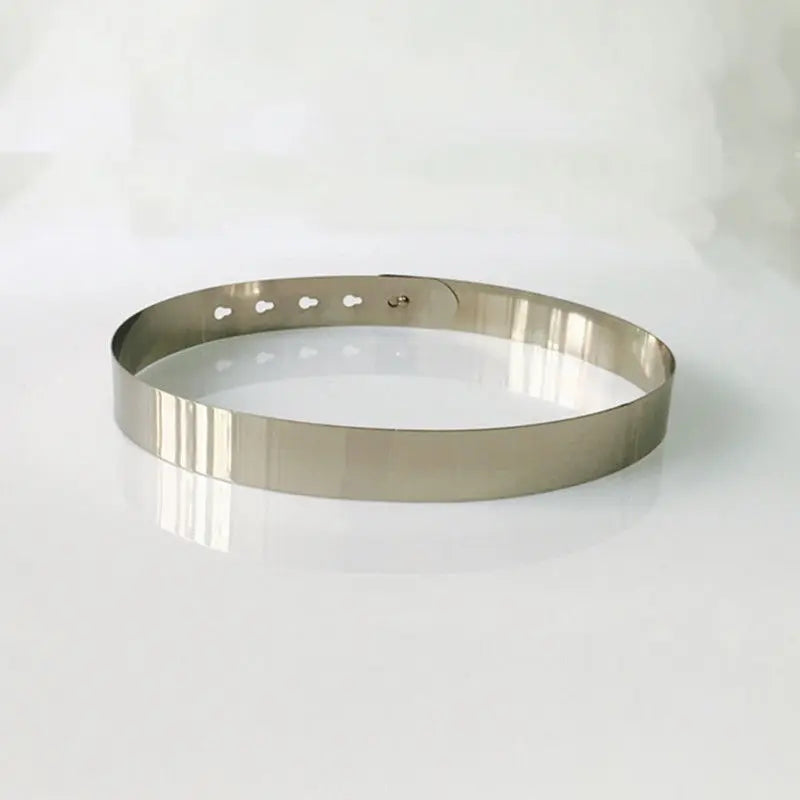 Women Vintage Elegant Waist Belt Metallic Bling Gold Silver Party Simple Belts Adjustable Belts