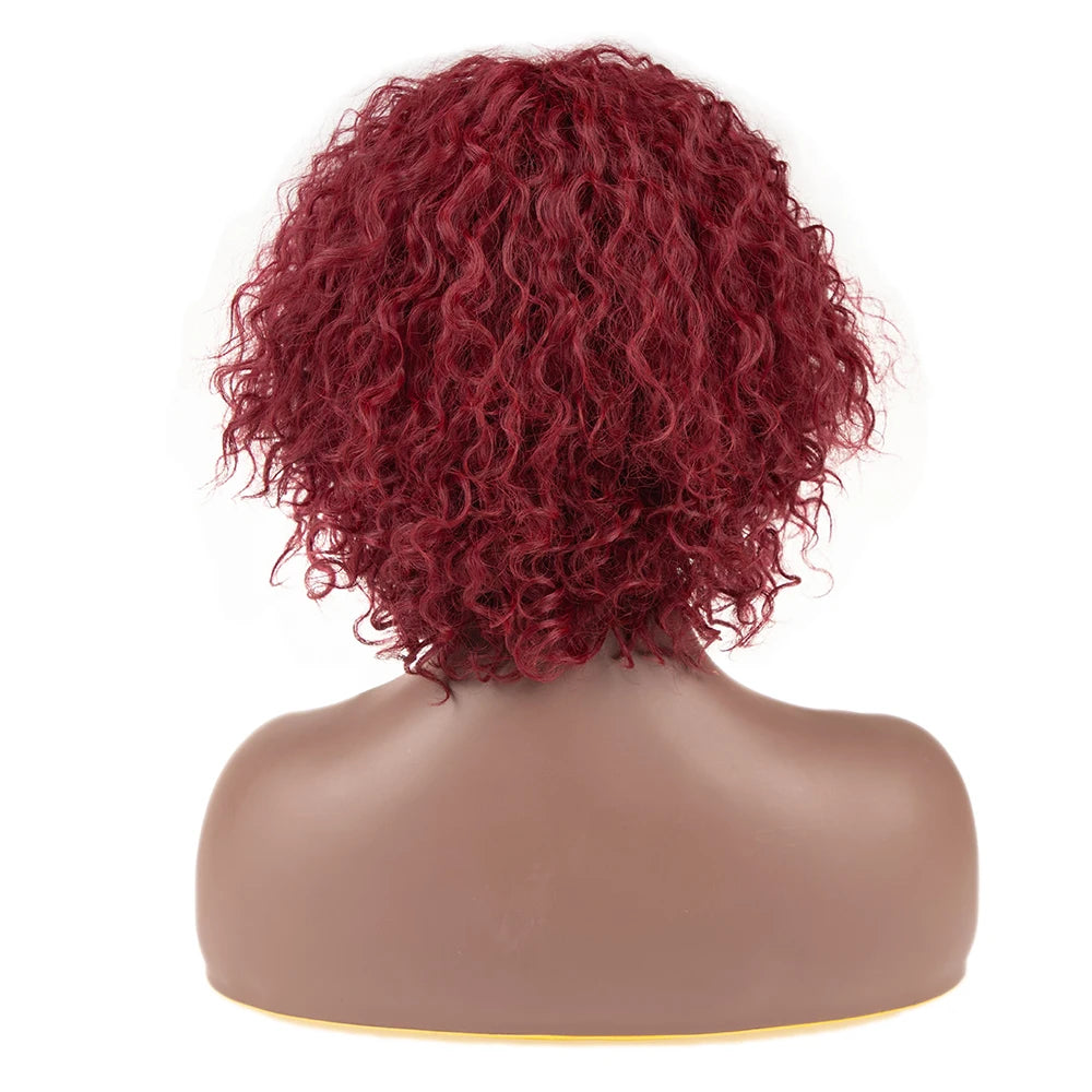 Afro Kinky Curly Wig Sleek Wholesale Factory Supplier High Temperature Heat Resistant Cosplay Kinky Curl Synthetic Hair Wigs