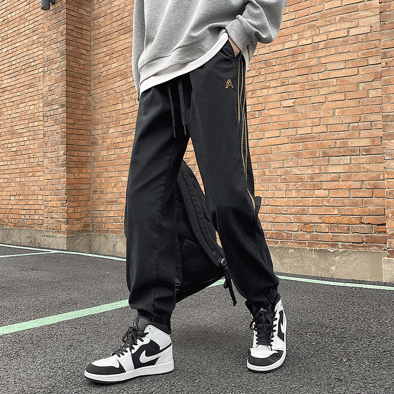 Pants for Boys Spring and Autumn New Korean Style Trendy Brand ins Loose Leg Sports Casual Pants Fashionable Ruffian Handsome Harem Pants
