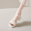 2025 Women's Soft-Soled Summer New Outer Wear Fairy Style One-Strap Skirt Thick Heel Waterproof Platform High Heels