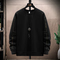 Men's Sweatshirt 2025 Spring and Autumn New Round Neck Jacket Men's Long-Sleeved Trendy Men's Clothing Versatile Casual Top for Boys