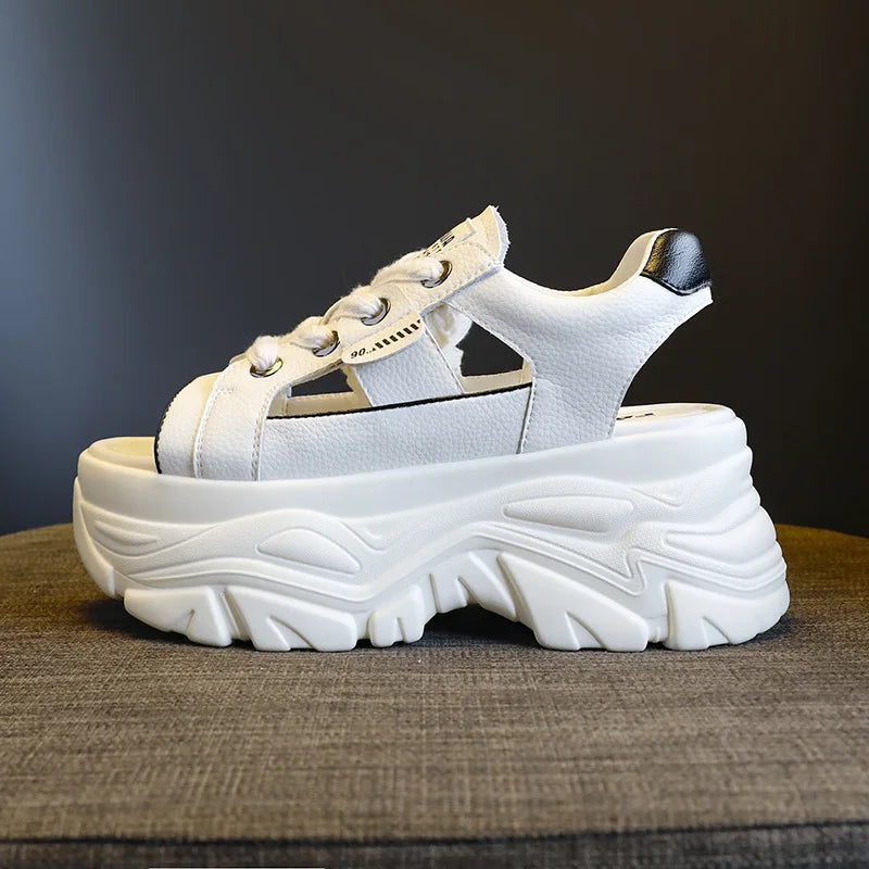 Sports Sandals for Women 2026 Summer High Heels Soft Bottom Retro Wind Fish Mouth Shoes Hollow Out 8cm Strap Sandals for Womens