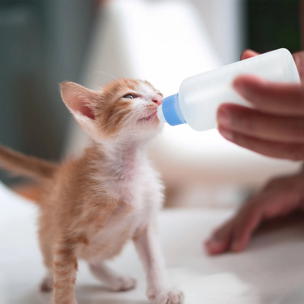 3pcs 50ml Pet Feeding Bottle Milk Nursing Bottle Pet Puppy Kitten Feeding Household Newborn Dog Cat Milk Feeder Drinking Bottle