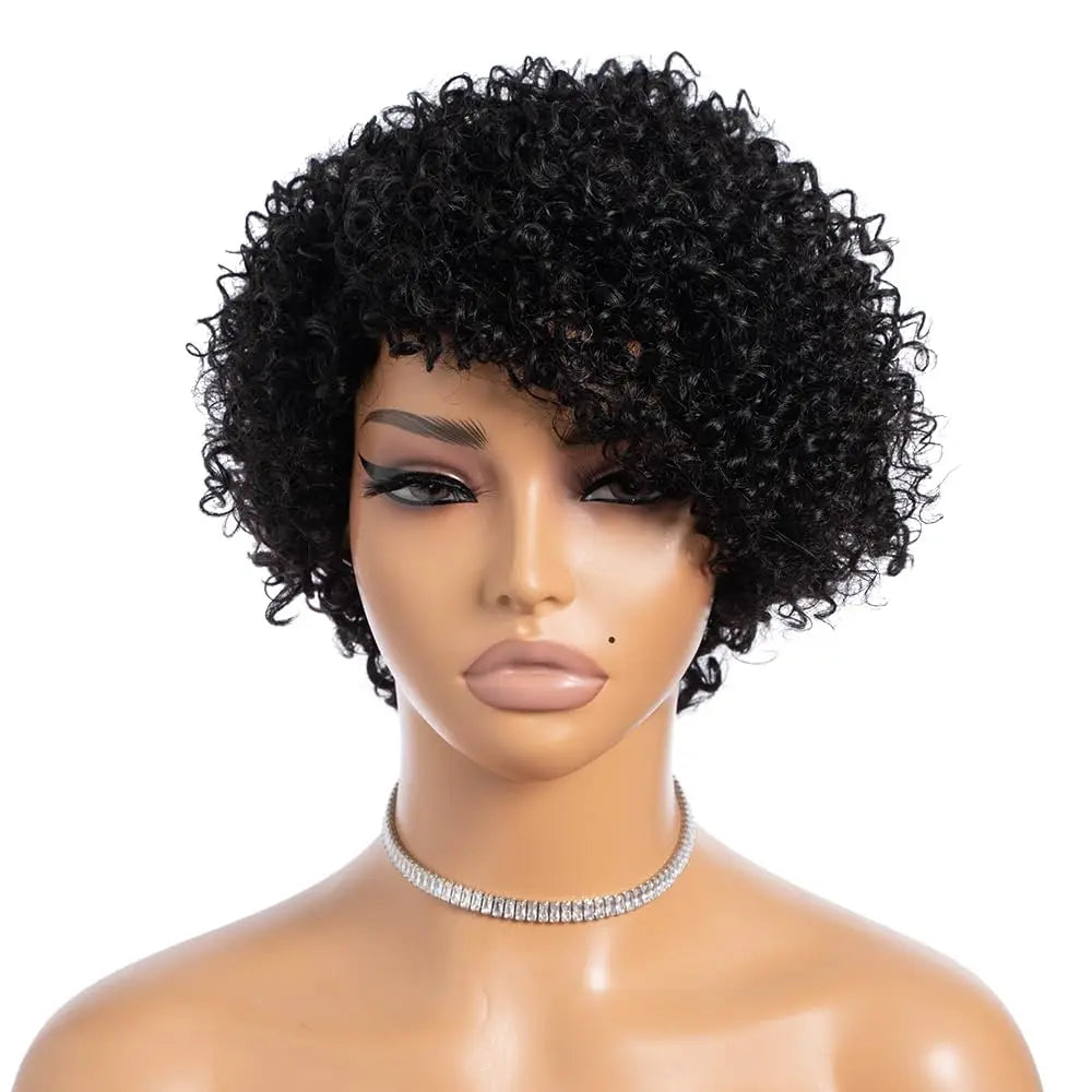 Kinky Curly Wigs Human Hair  Side Part Afro Kinky Curly Wigs for Black Women  Pixie Cut Curly Wigs Human Hair 100% Full Machine