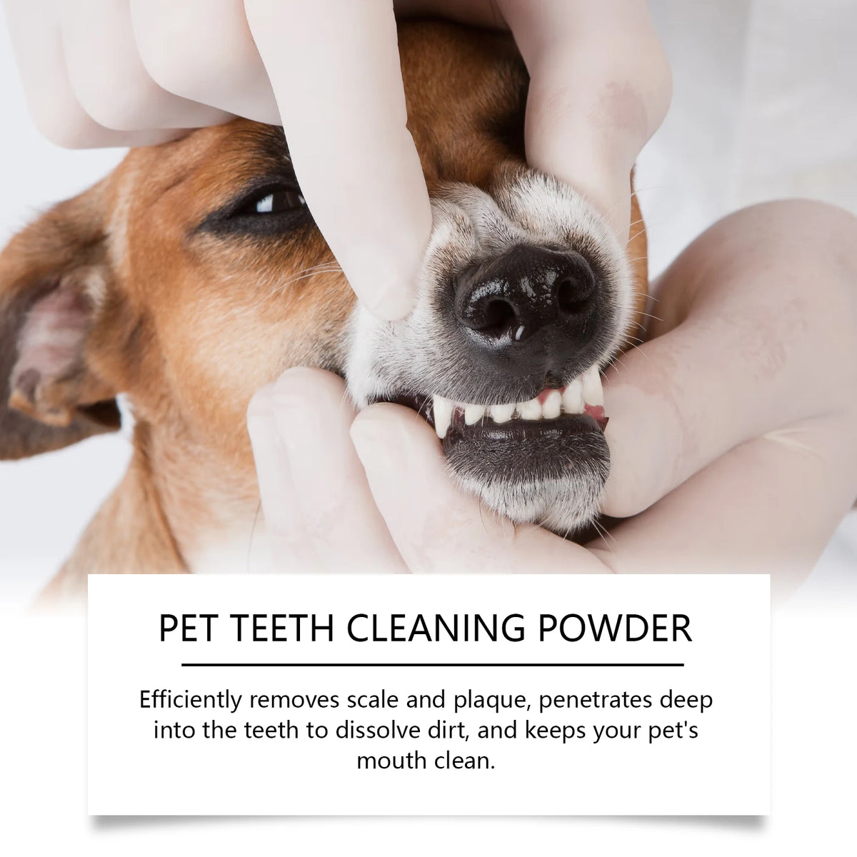 Pet Teeth Cleaning Powder Reduce Dental Plaque Calculus Eliminates Oral Odors Whiten Teeth Fresh Breath Pet Cleaning Products