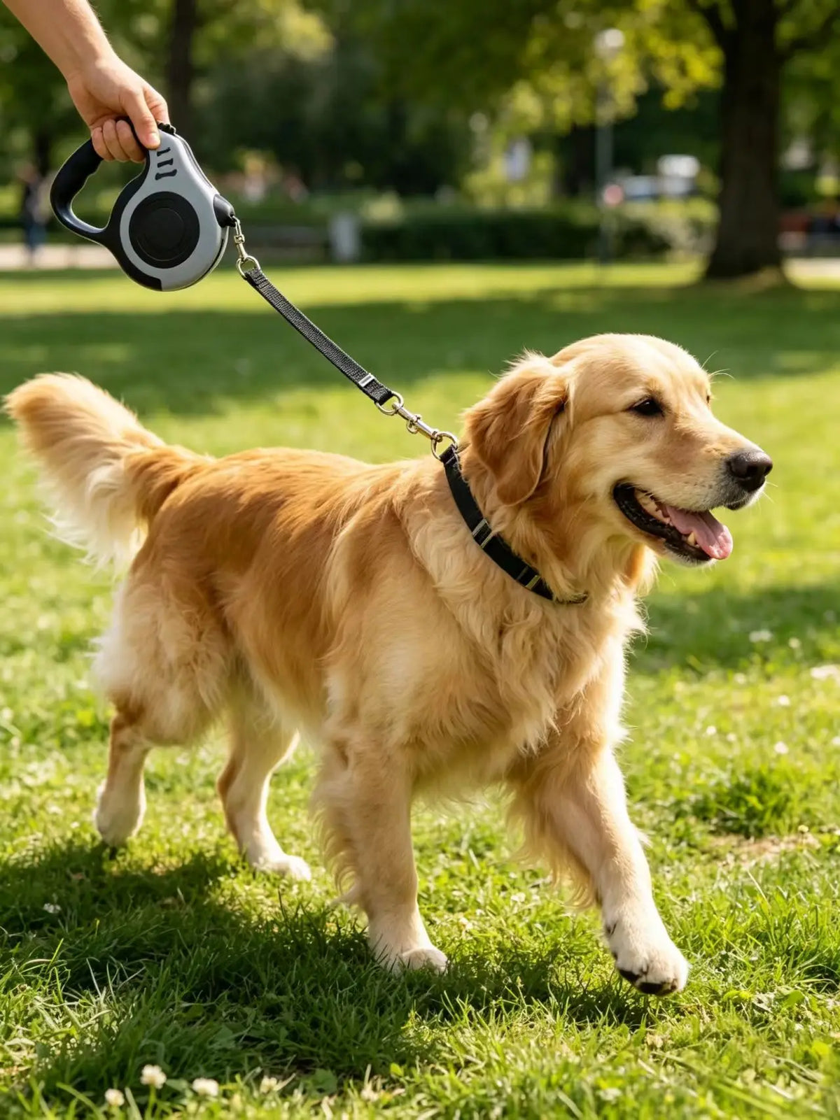Pet leash - Automatic retractable leash for pet dogs. Cat harness for pet cats. Dog walking rope. Dog chain. Dog rope.