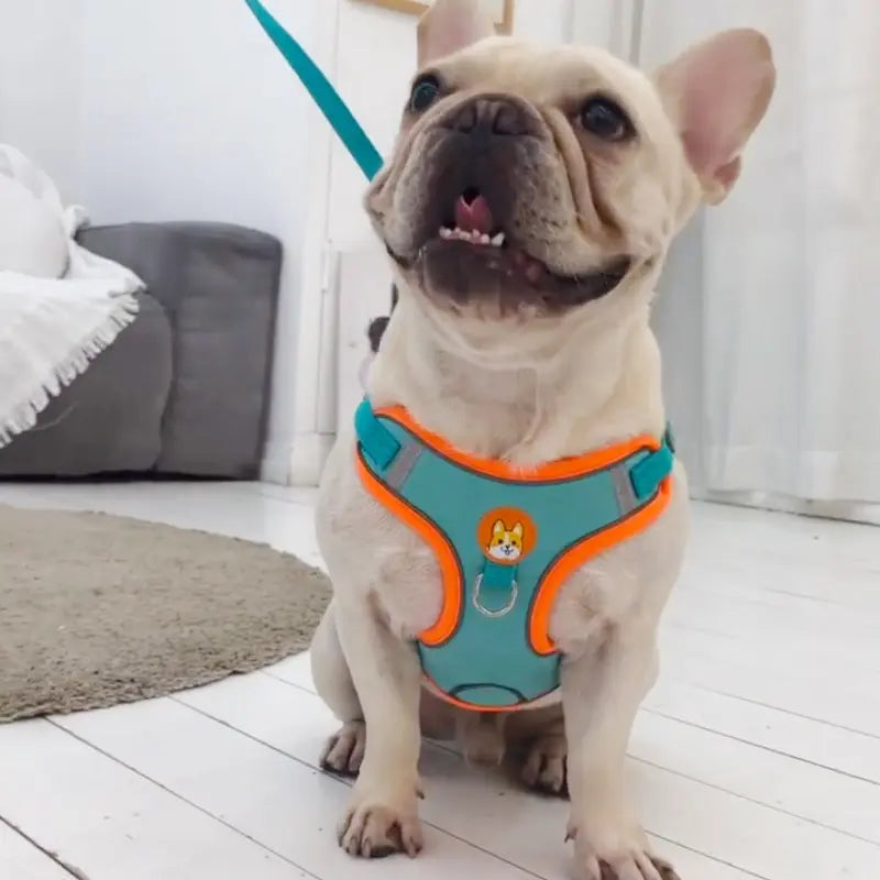 Adjustable Reflective Pet Harness Leash for Dogs and Cats, Suitable for Walking and Running