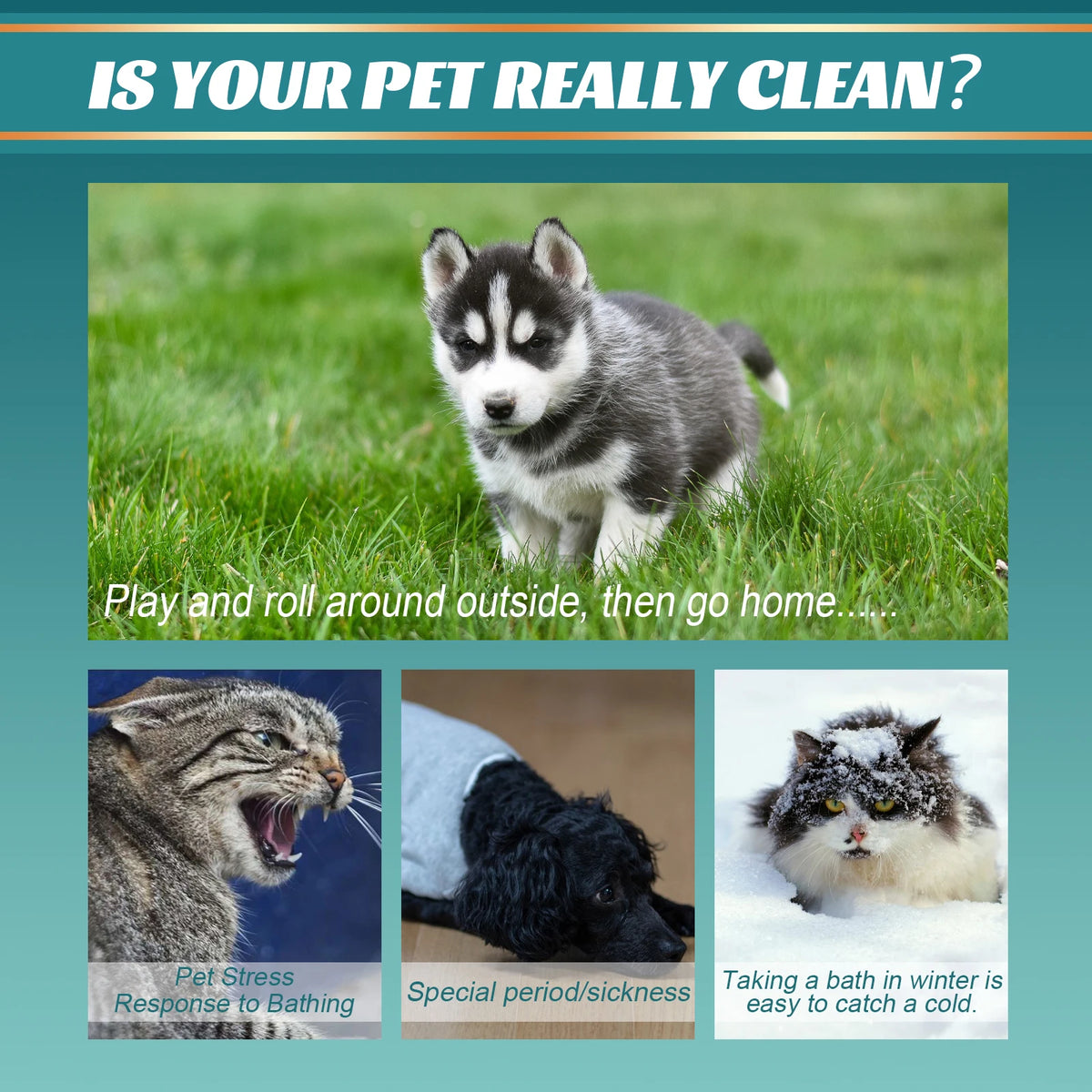Pet Wash Free Gloves Dry Cleaning Gloves Remove Odors Clean Dirt Portable Pet Daily Cleaning Skin Care Dogs Cats Spa Bath Glove