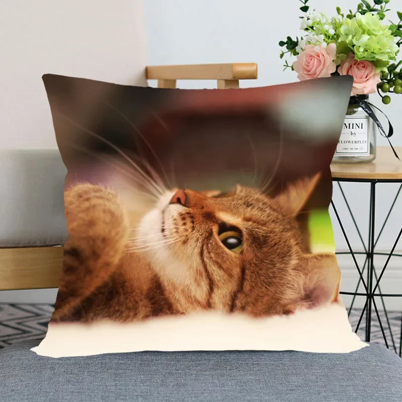 Cute Animal Bed Pillowcase for Car Sofa Home  Pet Cat Printed   Cushion Cover