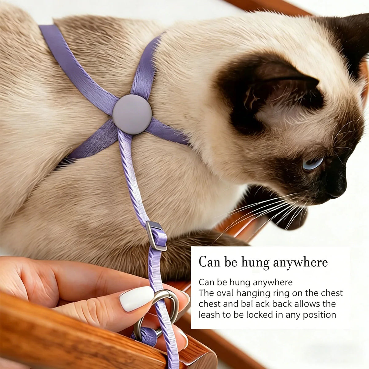 Cat Harness and Leash Sets Adjustable Dog Harness for Small Dog Leash Breashable Pet Harness Out Walking Dog Strap Cat Accessory