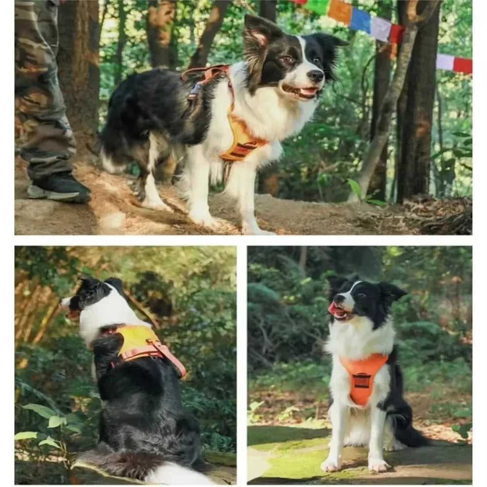 Dog Collar Harness for Medium Large Dogs Explosion-proof Punch Breathable Adjustable Pet Harness Vest Outdoor Outdoor Training