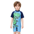 Children's Swimwear One-piece Swimsuit For Boys and Girls Little Kids Big Kids Sun Protection Hot Spring Unicorn Swimming Set