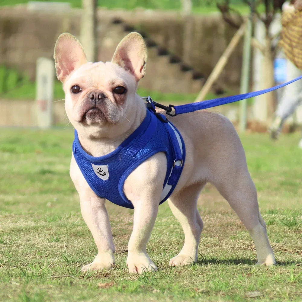 Adjustable Pet Dog Cat Harness and Leash Set Harness for Dogs Cats Vest Harness Puppy Dog Kitten Lead Cat Collar Pet Accessories