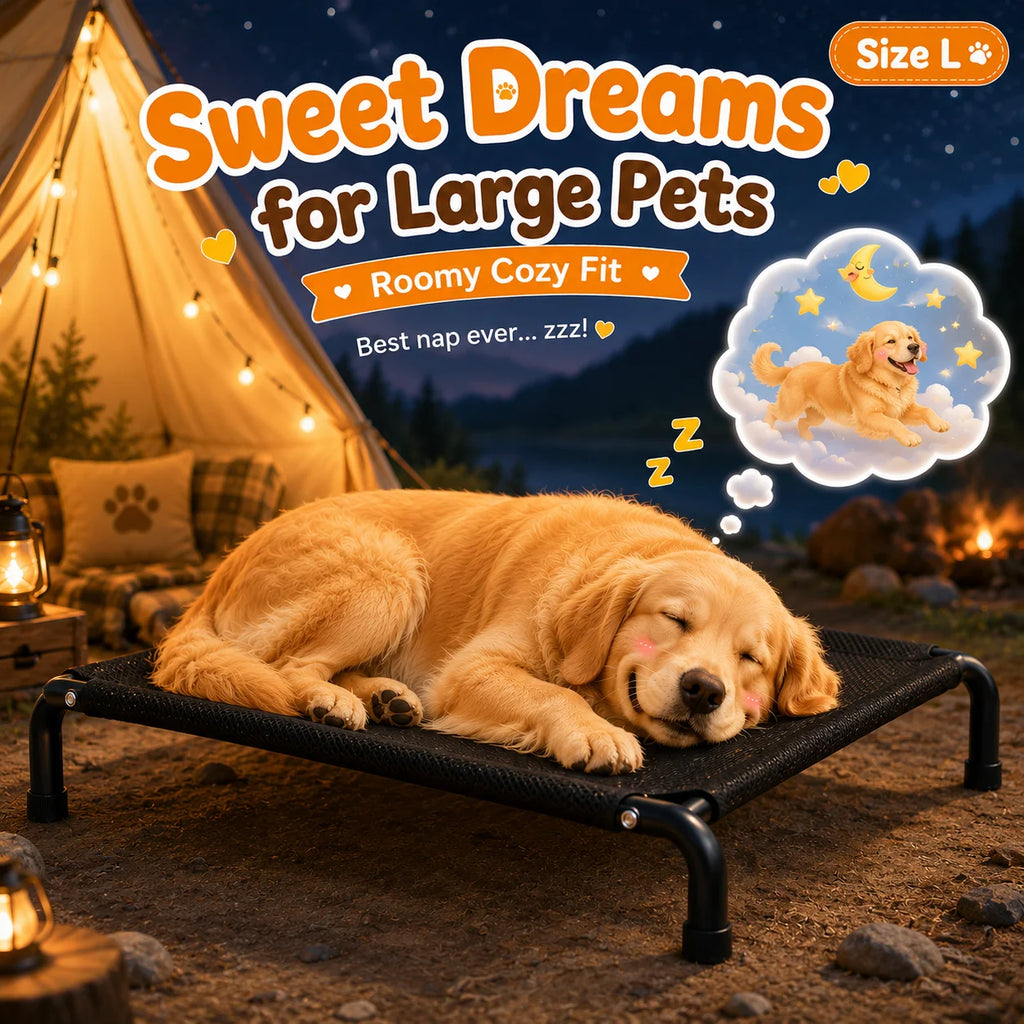 Elevated Pet Bed for Dogs, Washable Dog Bed for Small, Medium, Large & XL Puppies, Breathable Mesh Dog Bed