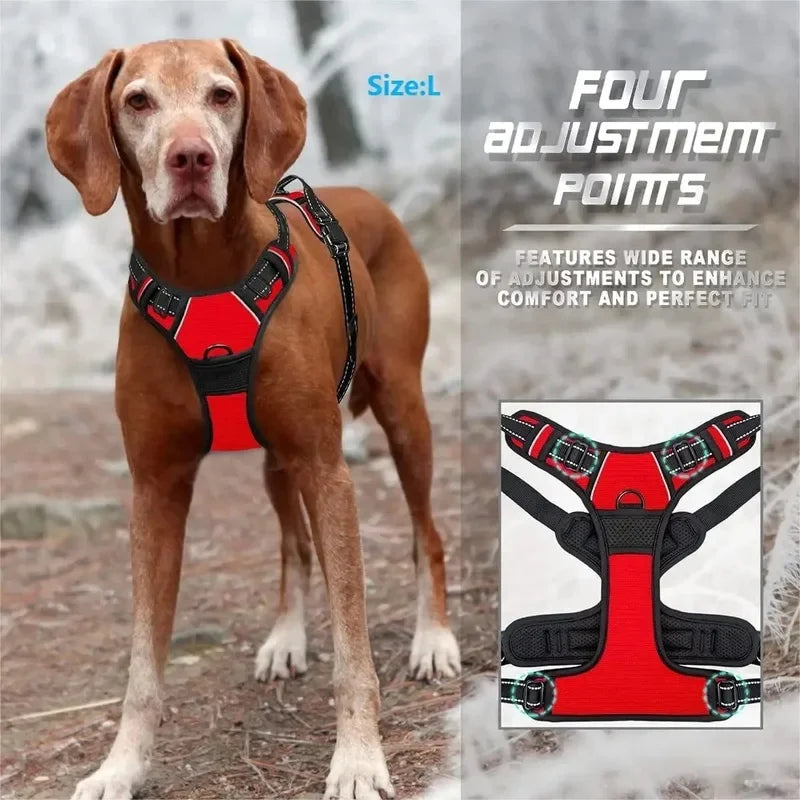 Dog Collars Harness Big Vests Leash Pet Shop Everything for Dogs Leather Puppy Accessories Medium Small Set SIZE L