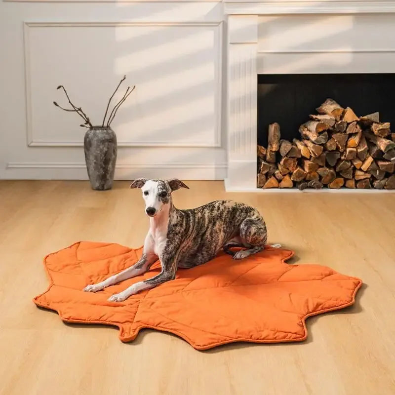 Warm Thickened Pet Bed, Super Soft Dog Mat with Leopard Pattern, All Season Reversible Cushion for Small Medium Large Dogs
