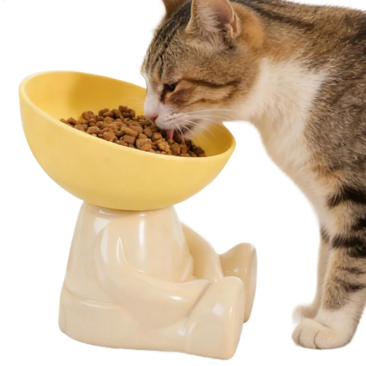 Cat Feeding Bowls Dog Food Bowl Raised Food Feeding Dish for Pet Non-Slip Pet Feeder for Kitchen Vacation Apartment Indoor