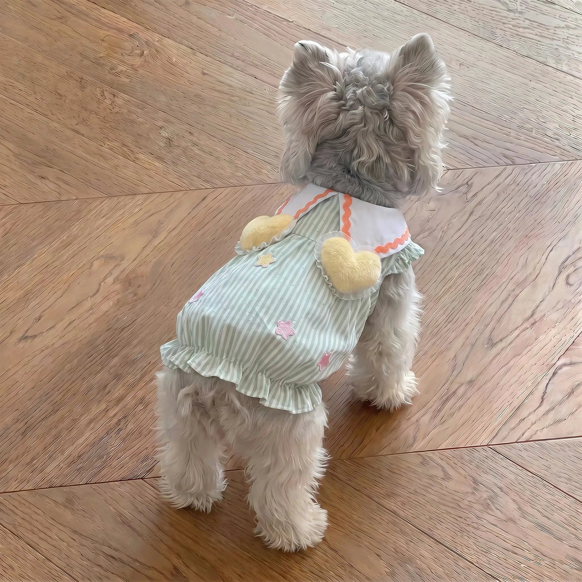 Summer Pet Dog Cat Clothes for small dogs cats bubble Puppy Princess Striped Dress Cats Kitten Rabbit Clothing Pet Supplies
