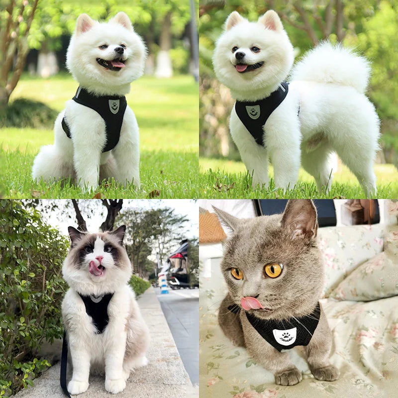 Pet Puppy Harness Leash Set for Small Dogs Cats Reflective Breathable Dog Chest Strap Walking Yorkie Vest Traction Rope Supplies