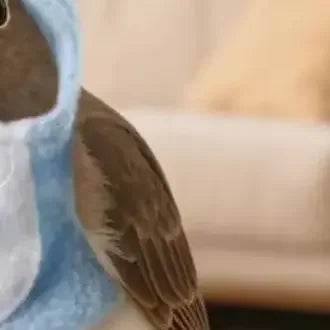 Pet Bird Clothes Parrot Clothing Autumn And Winter Warm Cute Funny Parrot Rabbit Transformation Costume