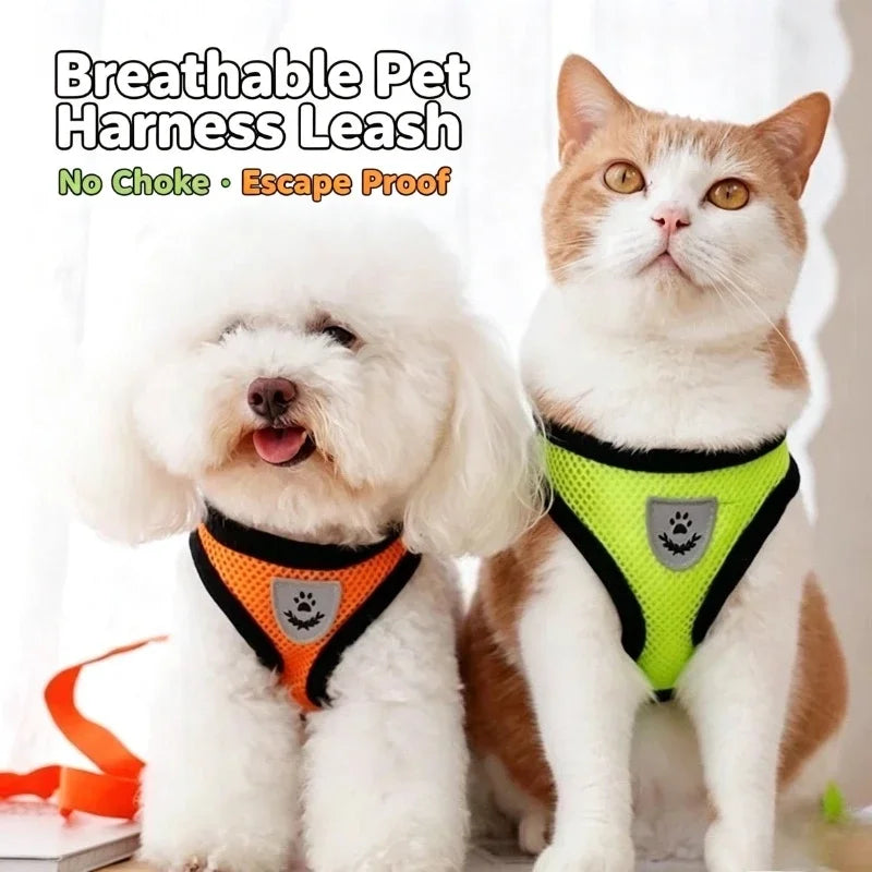Cat Harness Vest Walking Lead Leash for Puppy Dogs Collar Polyester Adjustable Mesh Dog Harness for Small Medium Pet Accessories