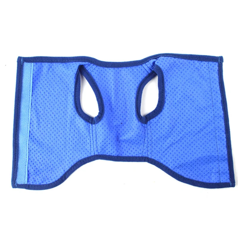 Pet Dog Cooling Vest Breathable Mesh Summer Cool Sleeveless Shirt Quick Dry Jacket For Small Cat Medium Large Dogs Cool Clothing