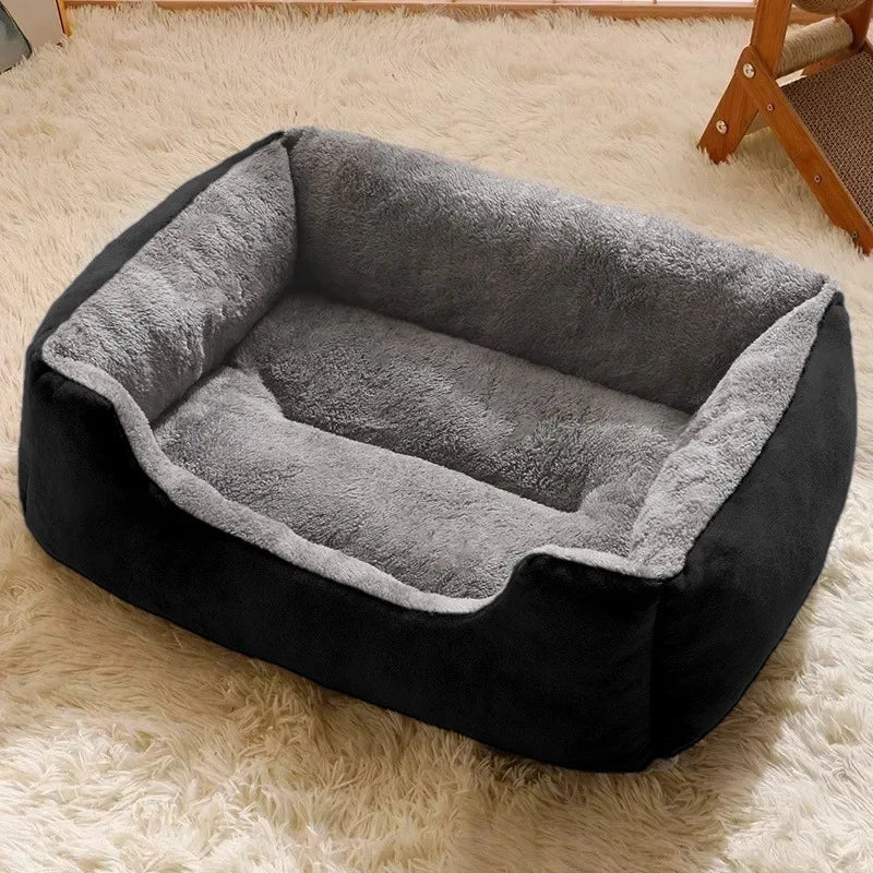 Bed for Cats Pet Products Cushions Kitten Goods Accessories Dog All Houses Supplies Things Accessory Habitats Basket House Beds