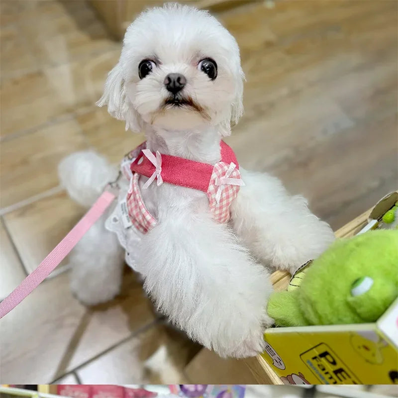 Pet Collars Dog Strawberry Lace Harness Leash Set Vest Lace Chest Strap Puppy Walking Lead Rope for Small Medium Dogs Supplies