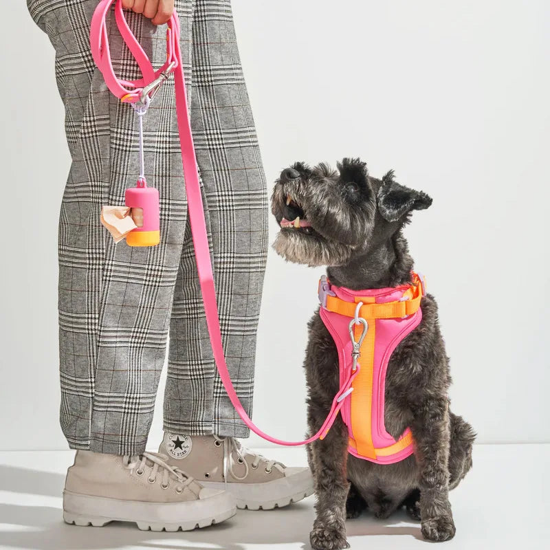 Pet Leash Anti-slip Breathable Collar Drawstring Chest Back Garbage Bag Storage Set Pet Travel Harnesses Supplies Accessories